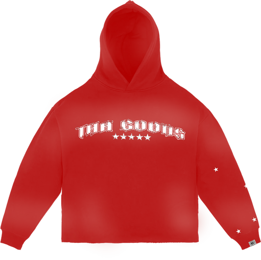 Red Sun Washed Cropped Hoodie